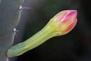 Erotic Toddler Porn - Accepting the reasons behind porn addiction ...