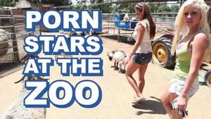 fuck team five beach - Fuckteamfive Porn Videos | YouPorn.com