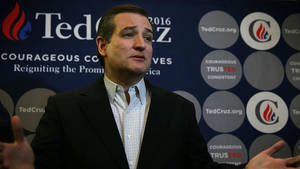 Chicago Public Porn - Cruz Pulls Rubio Attack Ad Featuring Ex-Porn Actress