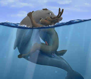 Animals Dolphin Furry Porn Gif - Dolphin Porn Gay | Gay Fetish XXX
