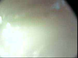 anal dildo camera - Internal Dildo Cam 111
