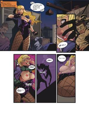 Black Canary Anal - The Black Canary 1 - Ravished Prey comic porn | HD Porn Comics
