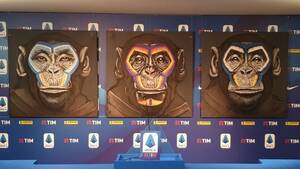 Italian Male Gay Monkey Porn - Italian soccer anti-racism campaign featuring monkeys called 'sick joke' |  CBC Sports