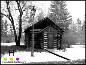 Cabin Gay Furry Deer Porn - Fist fucking sample