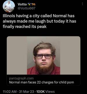 Man Fucks Toddler - Normal man faces 22 charges for child porn : r/BrandNewSentence