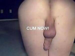 handsfree cum anal - Compil - Shemale Anal-prostate Orgasm (Handsfree Cumming !) : XXXBunker.com  Porn Tube