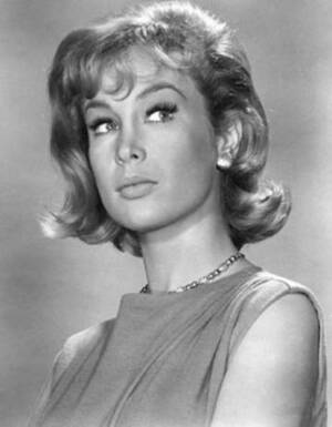 Barbara Eden Pussy - I know all the 1940's, 50's etc era hotties had full bushes... - AR15.COM