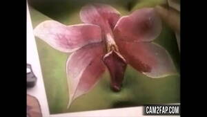 Funny Amateur Pussy - Pussy Free Funny Amateur Porn Video - XVIDEOS.COM