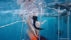 Cage Underwater - Porn Star Bitten By Shark During Underwater Cage Shoot - LADbible
