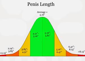 Normal Penis Porn - Image Source â‡‘