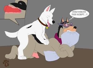 Bolt Anal Porn - e621 2016 3_toes 4_toes all_fours anal anal_knotting anal_penetration  animal_genitalia animal_penis bite biting_pillow bolt bolt_(film