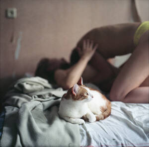 Cats Amateur Porn - Sherlollipops â€” indifferent-cats-in-amateur-porn: Toby could care...