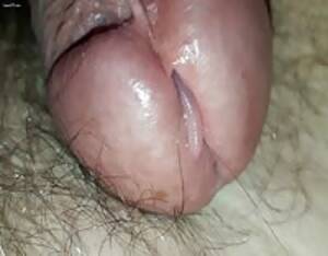 ants sucking dick - Nasty little stinging ants enjoying my cock head - LuxureTV