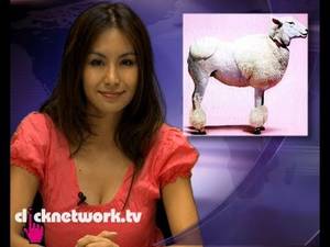 Asian Panda Porn - Panda Porn and Fake Poodles - News Asia: EP1