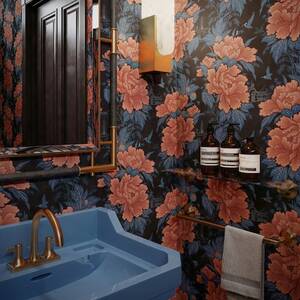 Jennifer Aniston Bathroom Porn - What your downstairs loo says about you