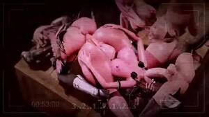 blowjob gangbang art - Astolfo x Zero Two - futanari; gangbang; blowjob; vaginal; 3D sex porno  hentai; [Fate Grand Order & Darling in the Franxx] watch online or download