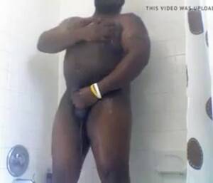 Fat Black Bear Porn - Fat men having fun: Black Bear Shower Jerk - ThisVid.com