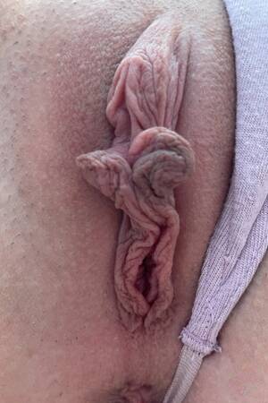 large labia - Close Up Large Labia Porn Pics & Naked Photos - PornPics.com