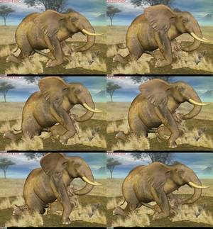 Furry Elephant Porn - 