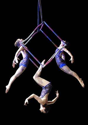 Aerial Silk Trapeze Porn - flyinginatuxedo: â€œ Aerial Cube Trio- so amazing â€