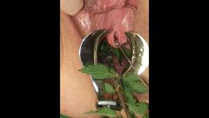 Bdsm Pussy Torture - Bdsm Pussy Torture - Speculum Stretched Nettles In Her Peehole & Vagina  Till She Pisses Herself - xxx Mobile Porno Videos & Movies - iPornTV.Net