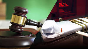 Candos Phineas And Ferb Porn - 