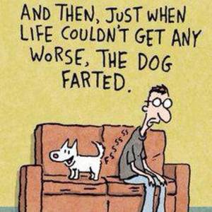 Cartoon Nurse Fart Porn - Just when life couldn't get any worse, the dog farted! Animals do fart!