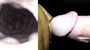 fleshlight internal cumshot - Whore Hole + Cum Pole = Cum Hole: Fleshlight Internal Camera. - Pornhub.com