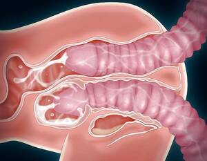 internal cumshot cartoon - Internal Cumshot - 442/610 - Hentai Image