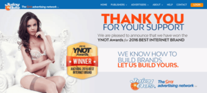 Adult Porn Site Ads - 12 Best adult ad networks for 2023 - Complete guide