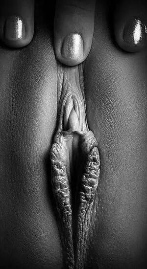 Art - Porn or art? Porn Pic - EPORNER