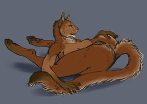 Flexible Furry Porn - Rule 34 - 2011 andraste anthro anus breasts feline female flexible fur  furry nude on back pussy solo | 667227