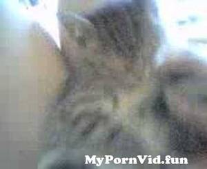 Lil Sis Pussy - my lil sisters pussy from pussy little sister Watch Video - MyPornVid.fun