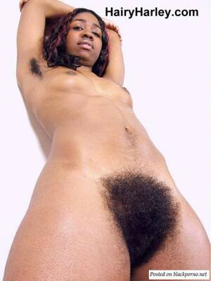 Hairy Black Women Porn - Very Hairy Pussy Black Woman - Sexdicted