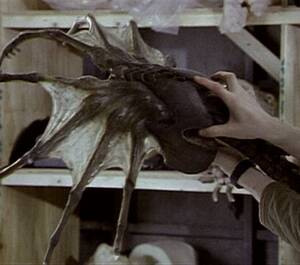 Ellen Ripley Facehugger Porn - Queenburster | Strange Shapes