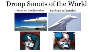 Airplane Furry Porn Vore - Furryâœˆirl ...
