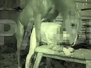 Equine Human Sex - Man horse sex at barn mp4. Human is passive 480p Â» Download zoo porno videos  mp4 and free online