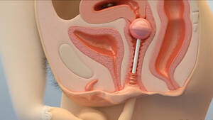 Anime Teen Masturbation - Masturbation Hentai Porn Videos - - Anime Girls Solo Masturbating