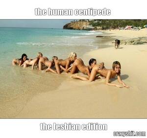 lesbian pussy memes - CrazyShit.com | lesbians memes - Crazy Shit