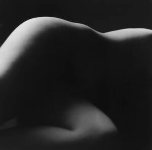 forced black breeding white - Easily Led | By Gillian Kendall | Issue 443 | The Sun Magazine