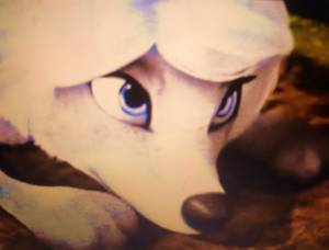 Fleet Alpha And Omega Porn - Awwwwwww!<3 ...