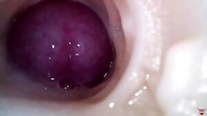 camera inside vagina creampie - Internal Camera. Creampie your Pussy - Pornhub.com