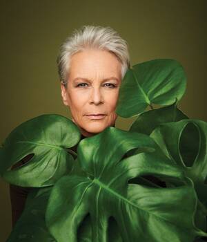 Jamie Lee Curtis Sexuality - Jamie Lee Curtis Is Our Advocate of the Year