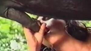 girl fucks girl - horse fuck girl Animal Porn