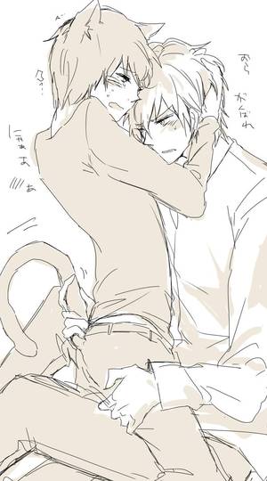 Cute Dj Cats Porn - Shizuo x Izaya. Anime CatShizayaShounen AiDurararaNekoPorn RandomBeautifulBunny
