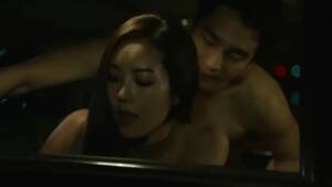 Korean Car Porn - korean couple having rough sex in the car - Porn video | TXXX.com