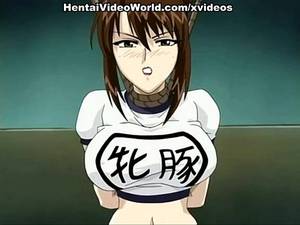hot anime hentai action - 
