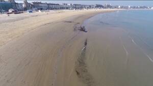 beach spyeye sex - Voyeur uses drone to spy on nudists in Dorset | Daily Mail Online