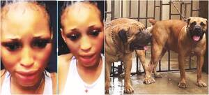 Forced Bestiality Porn - Beyond bestiality - The Nation Newspaper