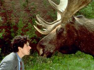 Northern Exposure Tv Show Porn - Northern Exposure (Series) - TV Tropes